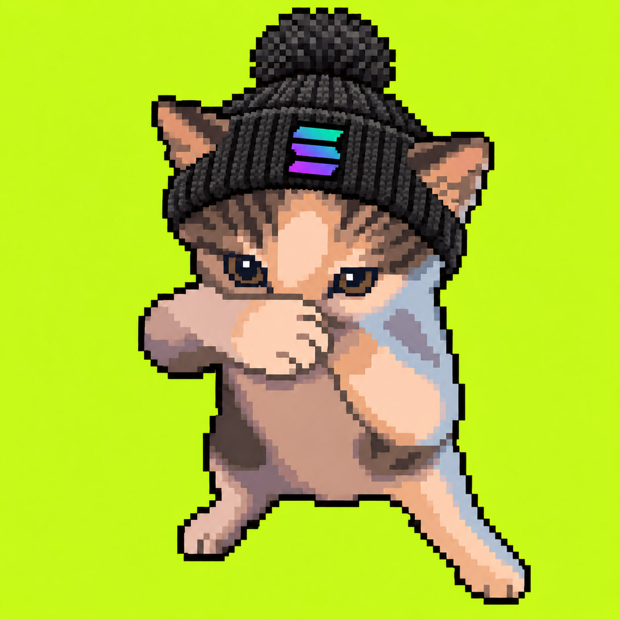 SOLCAT pixel bear